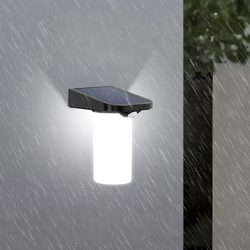 Solar Human Body Sensing Garden Wall Light