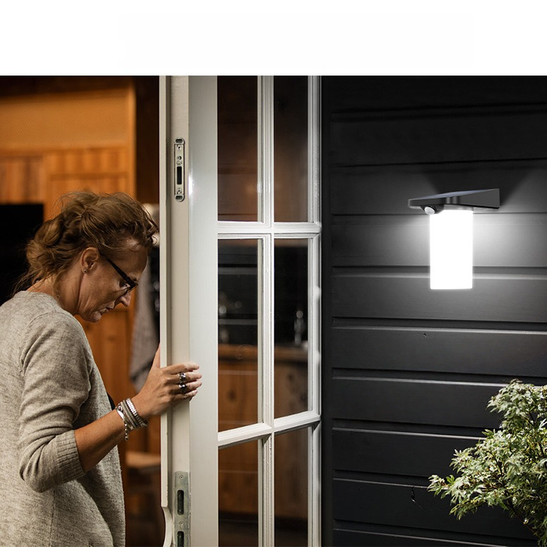 Solar Human Body Sensing Garden Wall Light