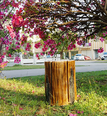 Outdoor Garden Artificial Tree Stump Decorative Light